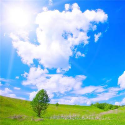 宝宝芭芭农场完整版下载